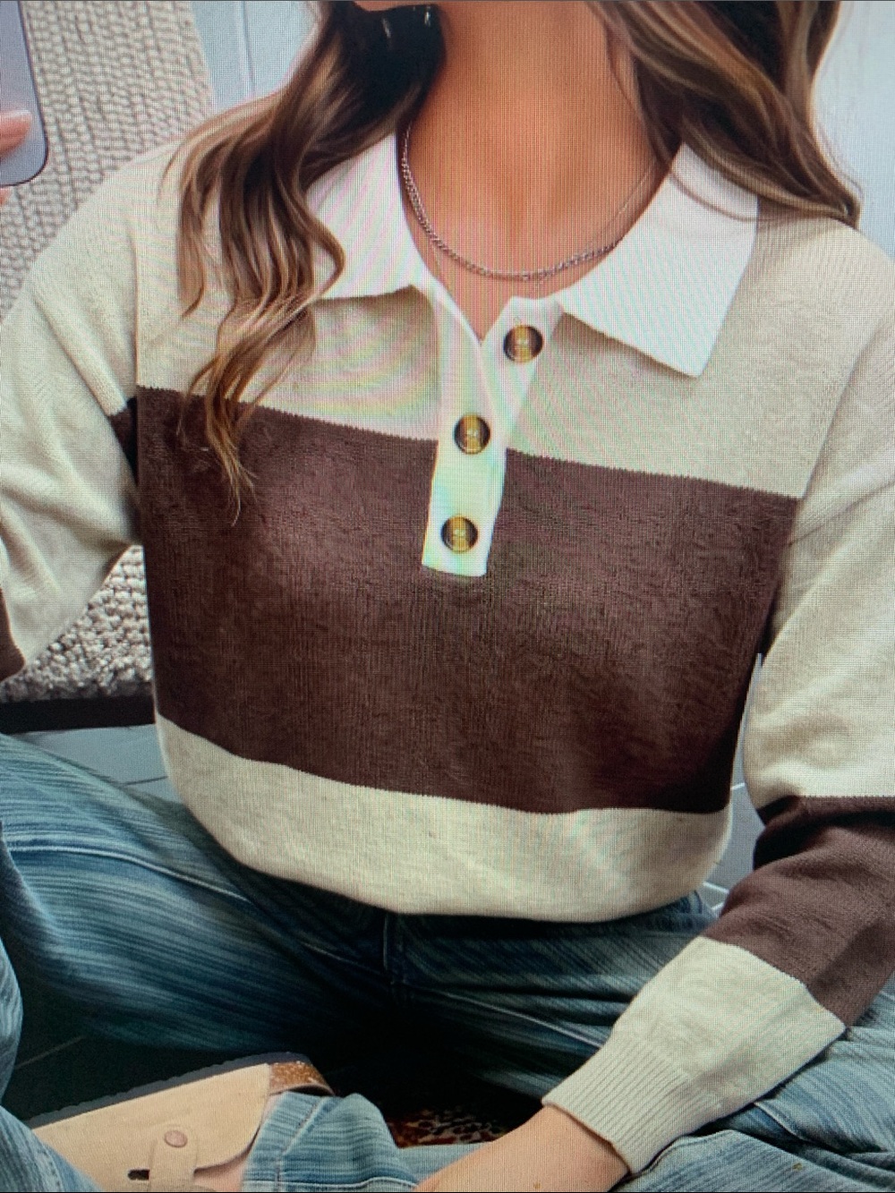 Striped Collared Knit Pullover Sweater - Cream & Brown